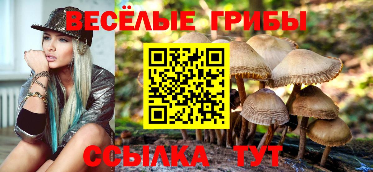 Псилоцибиновые грибы ЛСД  закладки  Шарыпово  Вход с VPN  Псилоцибиновые грибы Magic Shrooms 